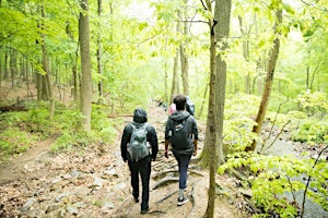 Imagem principal de We Outside: A Hiking Experience