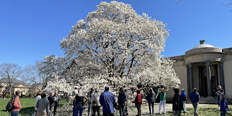 April Free Tree Walk: Historic Hill