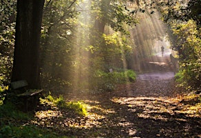 Imagen principal de Free Shinrin Yoku - Hamstead Heath, London (Morning)