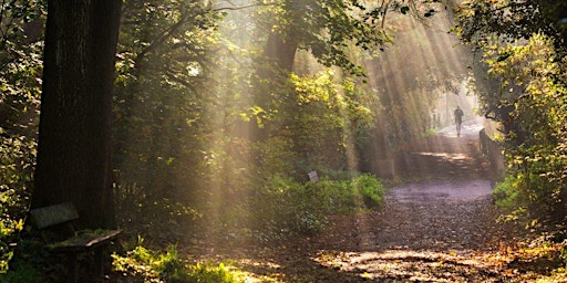 Free Shinrin Yoku - Hamstead Heath, London (Afternoon) primary image