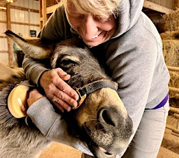 Group Donkey Encounter