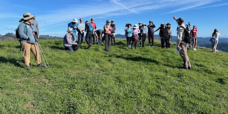 CANCELED - Afternoon Hike at Mindego Hill primary image