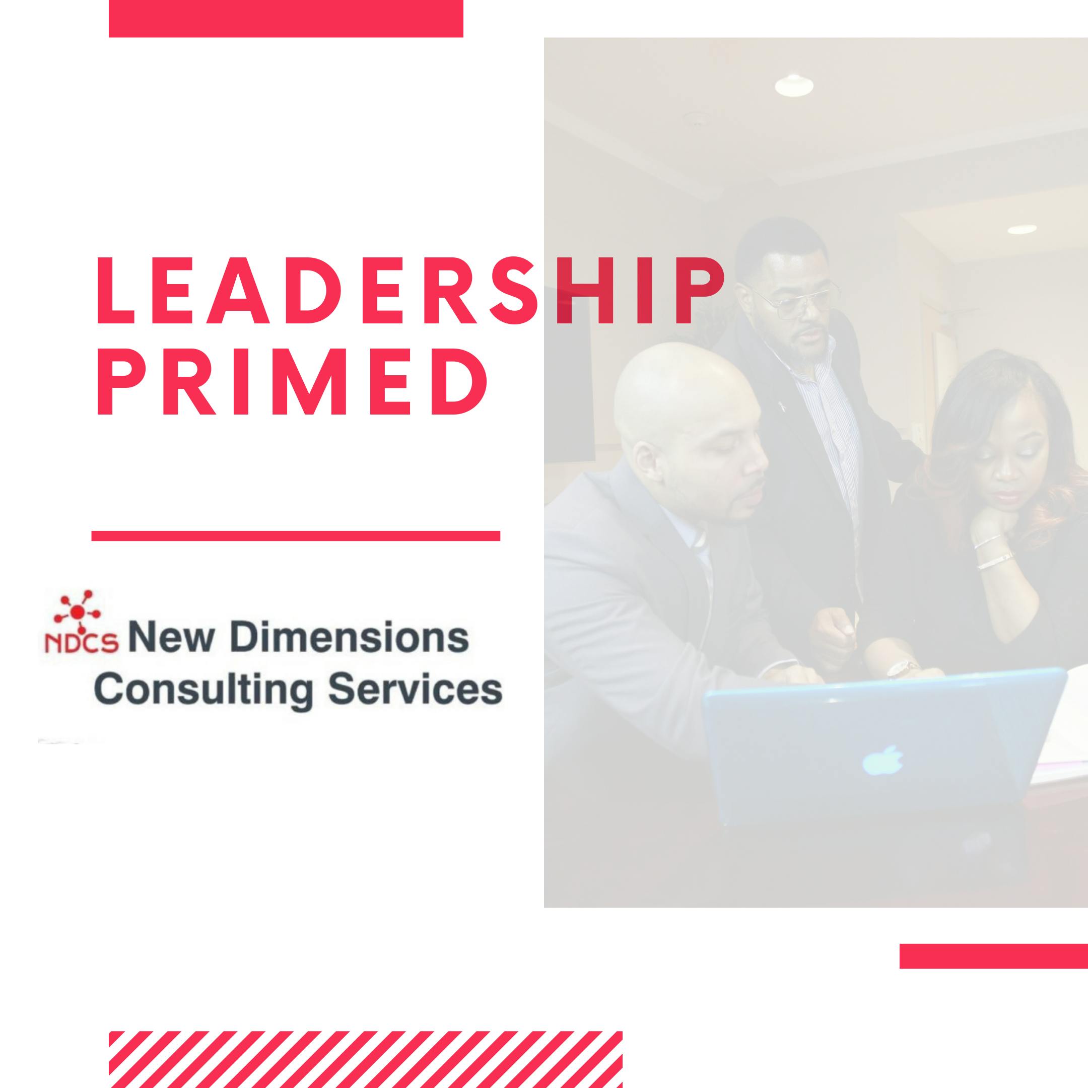 New Dimensions Consulting Services Presents: Leadership Primed