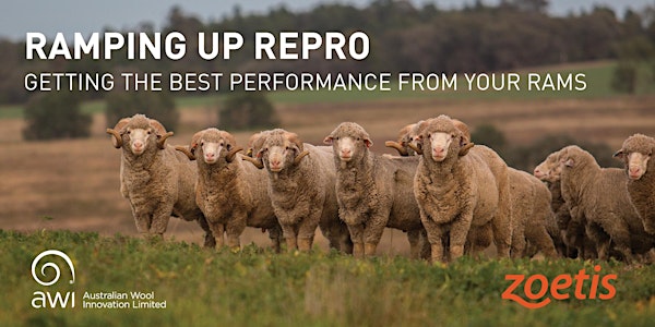 RAMping Up Repro PLUS MORE - OXLEY