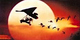 Hauptbild für Movie Night at Plymouth Airport: Fly Away Home