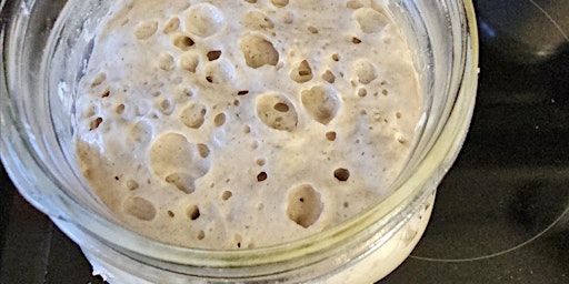 Primaire afbeelding van Sourdough Starter 101 Class 5/5/24