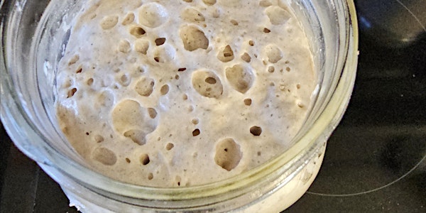 Sourdough Starter 101 Class 4/14/24