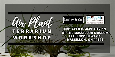 Air Plant Terrariums Workshop with Lepley & Co. primary image