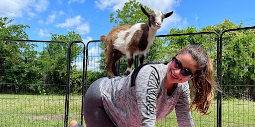 Imagem principal do evento Goat Yoga Savannah