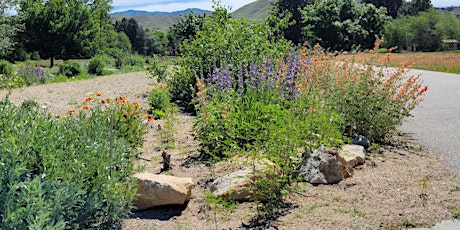 Imagem principal de Pollinator Week Tour - Warm Springs Park