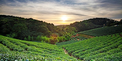 Imagen principal de Home Gardener Series: Planting on Banks/Slopes