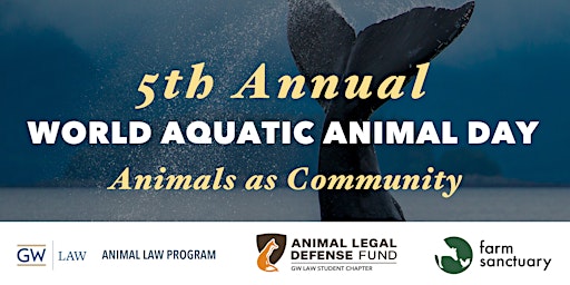 Imagen principal de 2024 World Aquatic Animal Day: Animals as Community