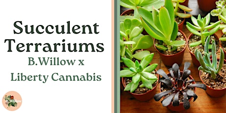 Imagem principal do evento B.Willow x Liberty Cannabis Succulent Terrarium Workshop