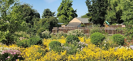 Pollinator Week Tour - Mariposa Park