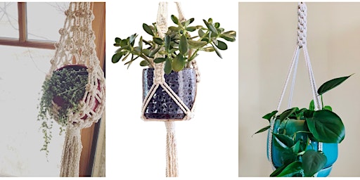 Immagine principale di Craft & Sip: Macrame Plant Hanger Workshop 