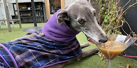 Greyhounds Pub Crawl