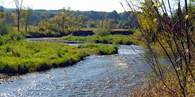 Hauptbild für "LET THE RIVER FLOW"