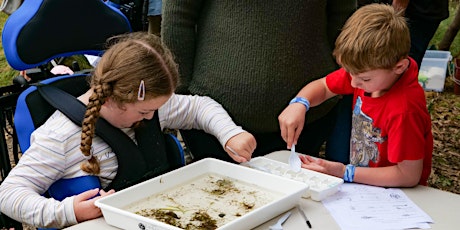 World Of Waterbugs - Tidbinbilla School Holiday Program