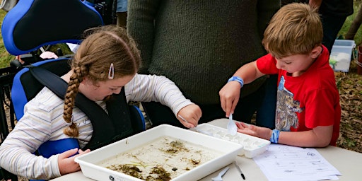 Primaire afbeelding van World Of Waterbugs - Tidbinbilla School Holiday Program