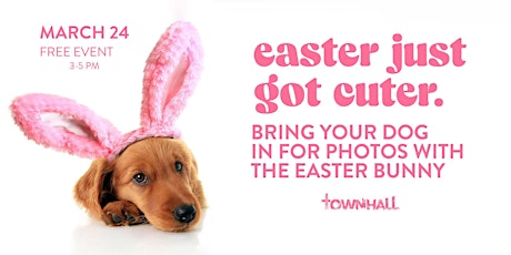 Free Easter Pet Photos With Easter Bunny at TownHall Short North primary image