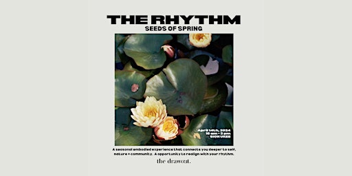 Primaire afbeelding van THE RHYTHM  - SEEDS OF SPRING