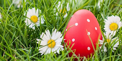 Imagem principal de Easter Egg Hunt