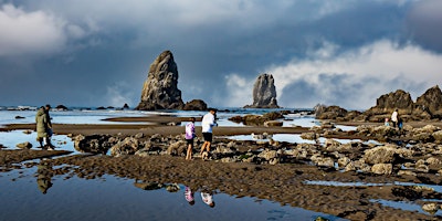 Imagen principal de Stewardship Saturday: Investigating Tidepools for Ocean Health