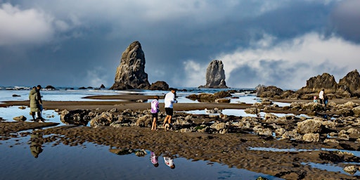 Imagen principal de Stewardship Saturday: Investigating Tidepools for Ocean Health