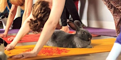 Bunny Yoga (Mommy & Me) primary image