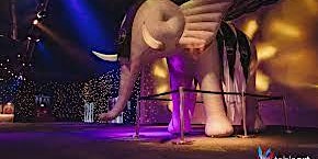 Imagem principal do evento Extremely special circus event night