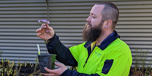 Hauptbild für Propagation Demonstration