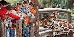 Primaire afbeelding van The event of visiting the zoo is extremely attractive