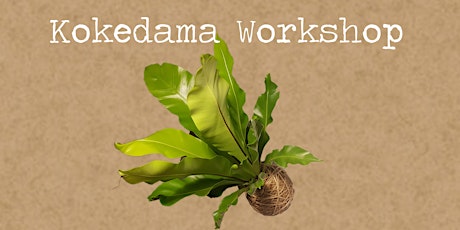 Kokedama Workshop by Rock Leaf Moss @ Port Fairy primary image