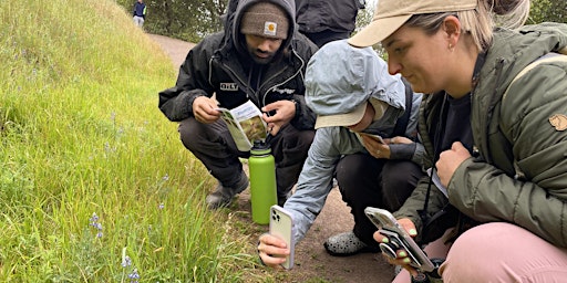 Naturalist Training - Why City Nature Challenge Matters primary image