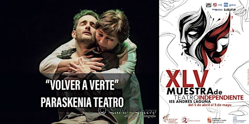 Hauptbild für TEATRO: "Volver a verte"