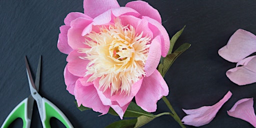 Hauptbild für Paper Peony Flower Workshop