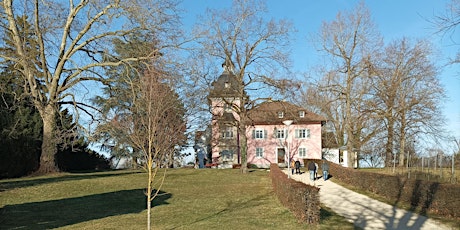 Singlewanderung: Radolfzell am Bodensee - Halbinsel Mettnau (30-50 J.)