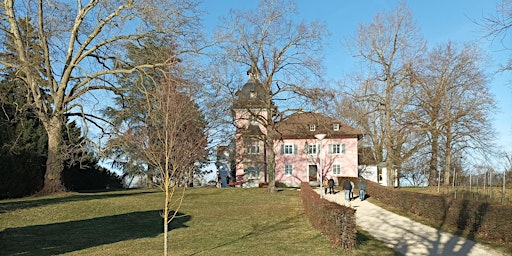 Singlewanderung: Radolfzell am Bodensee - Halbinsel Mettnau (30-50 J.)  primärbild