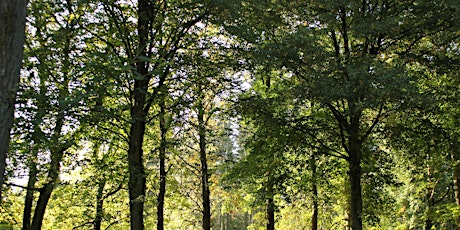 Nature's Symphony: Tree Identification Walk at Queenswood Arboretum