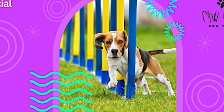 Dog Agility Course Hosted By Paw by Paw