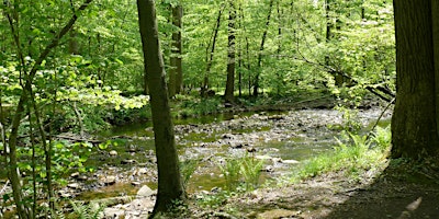 Imagen principal de NJ Audubon: Saturday Spring Hike