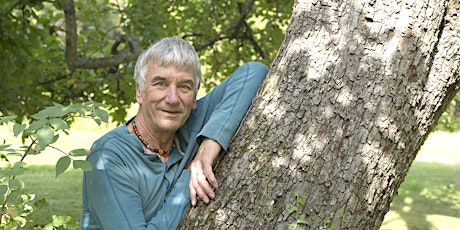 Unveiling Roots: Exploring Heritage Trees in Herefordshire & Welsh Borders