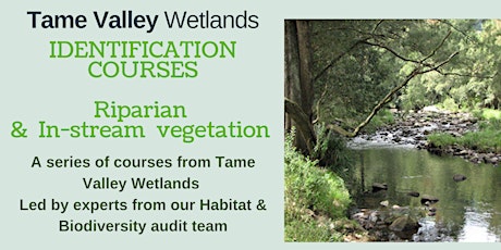 Primaire afbeelding van Riparian and In-stream Vegetation Identification Course