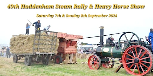 49th Haddenham Steam Rally & Heavy Horse Show (Sun)  primärbild