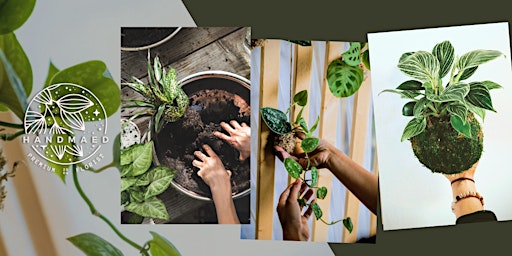 Kokedama Workshop - A Gardening Class & Experience primary image