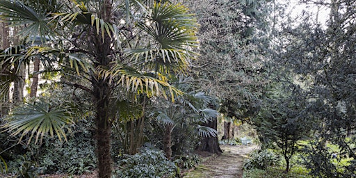 Imagem principal de Guided Tree Tour of The Italian Garden