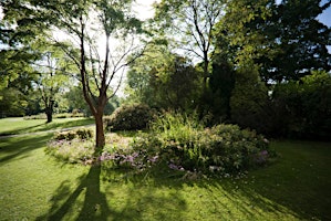 Tree walk at Sheffield Botanical Gardens primary image