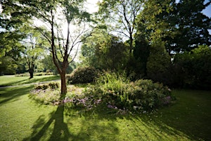 Tree walk at Sheffield Botanical Gardens