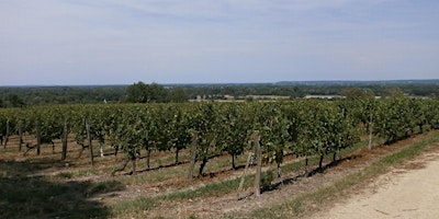 Hauptbild für Dunbar Charity Wine Event - Wines of the Loire Valley