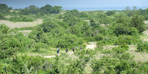 Community Trailblazing Project primary image